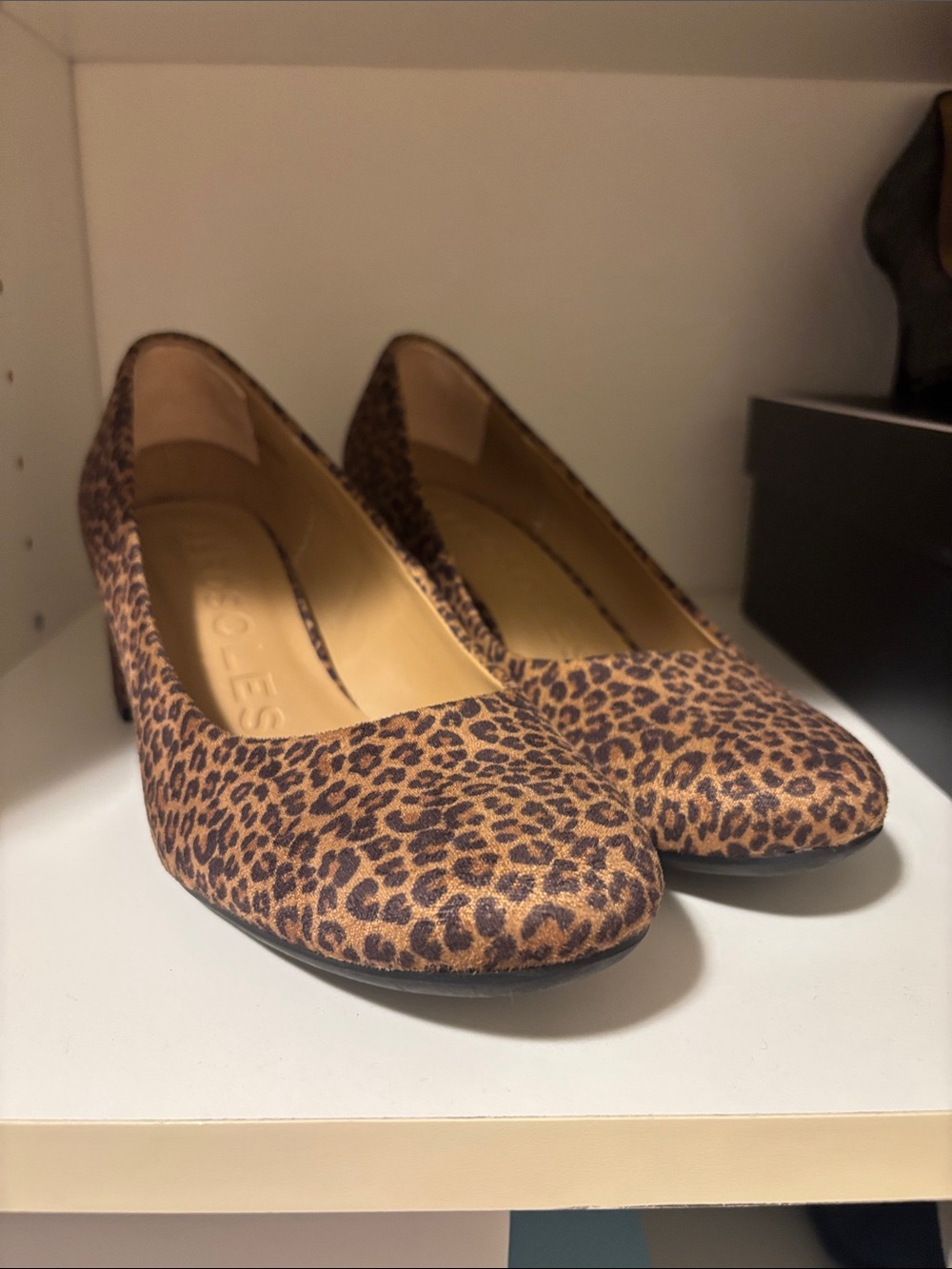 Aerosols Leopard Print Pumps in Brown and Black